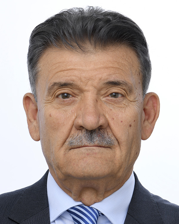 Mircea Gheorghe Hava